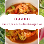 ปก-ดอกแค,พืชสมุนไพรไทย ,สมุนไพร,คุณค่าทางการเเพทย์