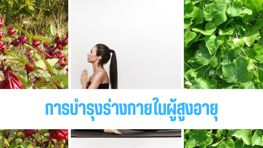 การบำรุงร่างกายในผู้สูงอายุ,สมุนไพร